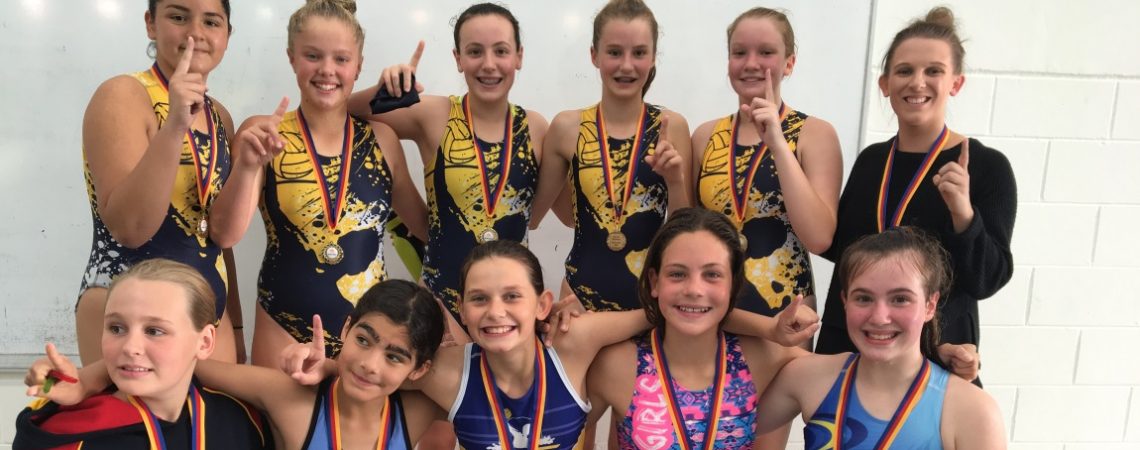 14 Girls Premiership Team 2018